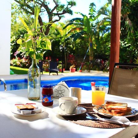 Green Oasis Home Boutique Playa del Carmen Dış mekan fotoğraf