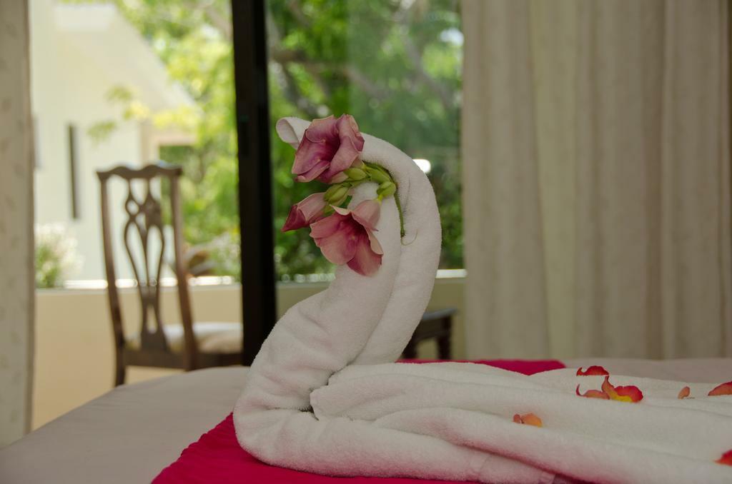 Green Oasis Home Boutique Playa del Carmen Dış mekan fotoğraf